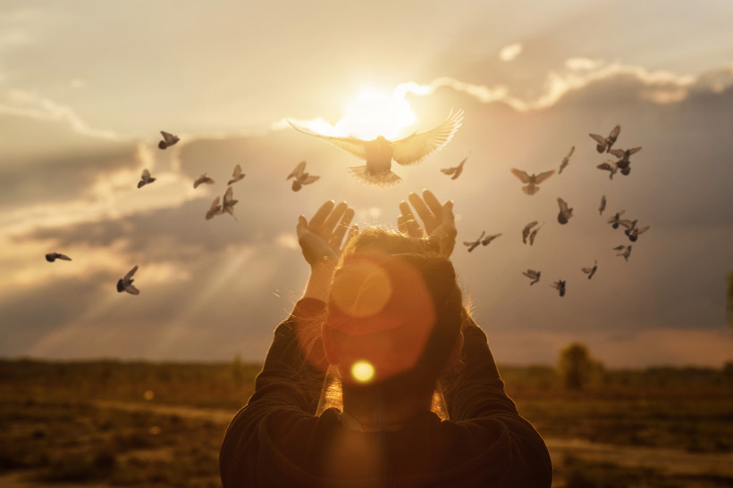 AdobeStock 414244705