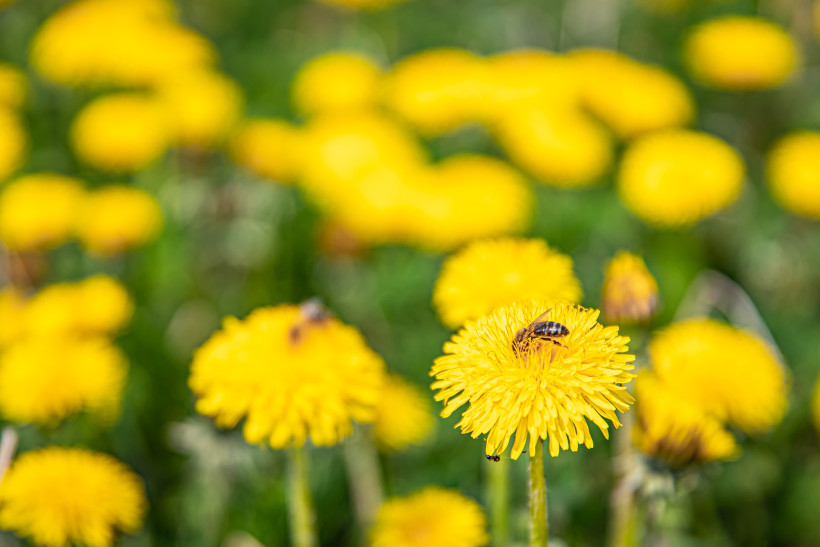 AdobeStock 502969844