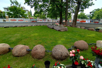 IMG 20250606 095253195 HDR