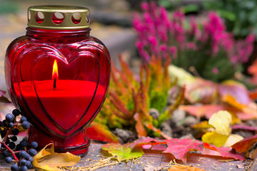 AdobeStock 537204496