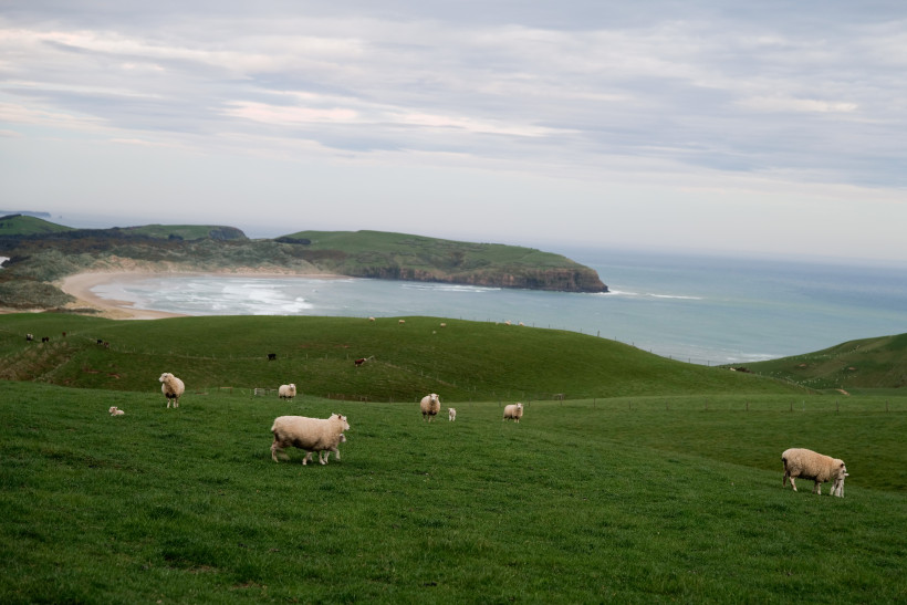 89B Fot. Emilia Badawika