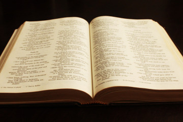 agnieszkamonk book 2073022