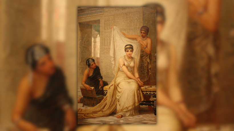 grafika ogolna portal5