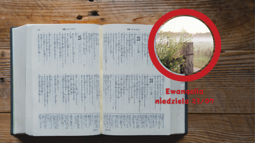 Wakacyjne haiku z Ewangelią: Królestwo w przypowieściach