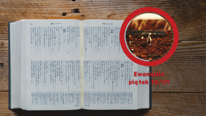 Wakacyjne haiku z Ewangelią: Słowo wśród przeciwności