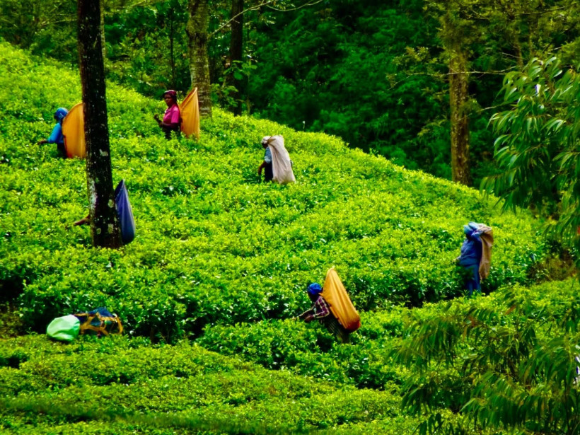 Sri Lanka. Eden z brzemieniem kolonializmu
