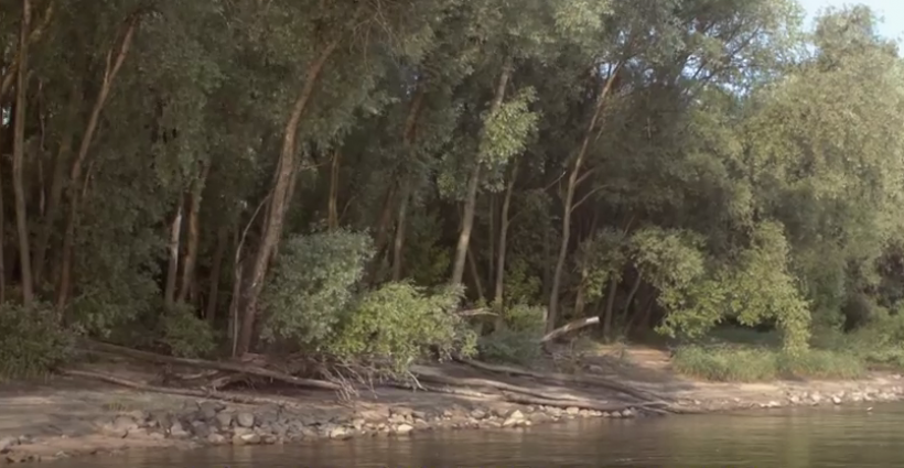 Nietypowy film przyrodniczy (WIDEO)