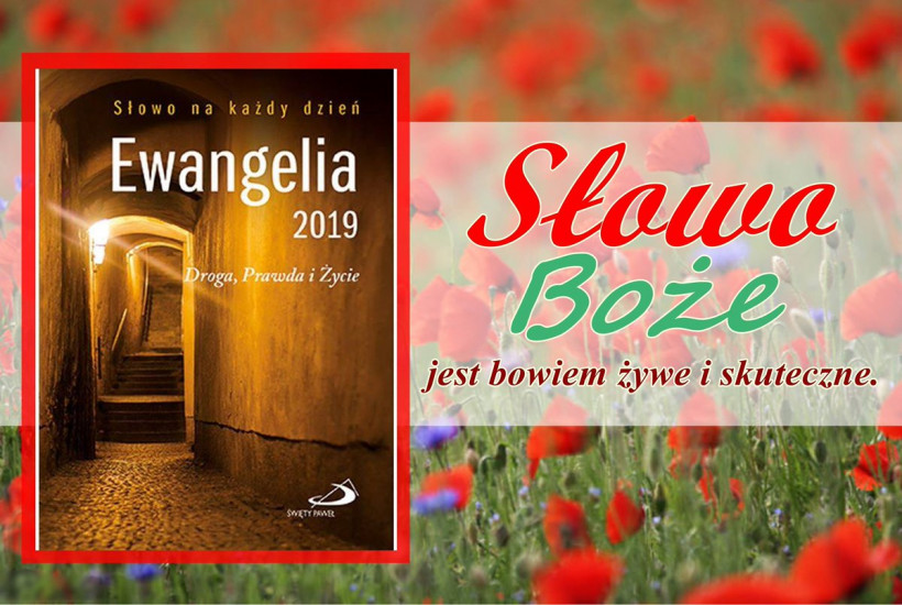 Ewangelia 2019. Droga