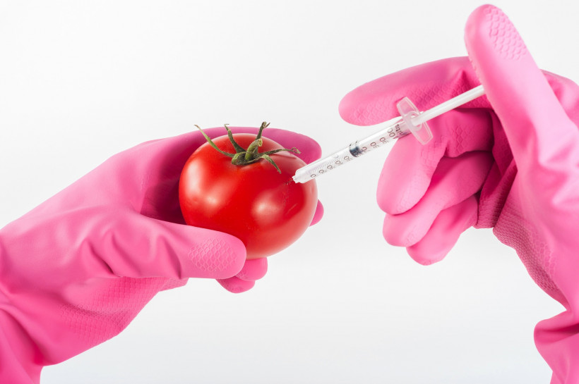 Nasiona kłamstwa. Co powinniśmy wiedzieć o GMO